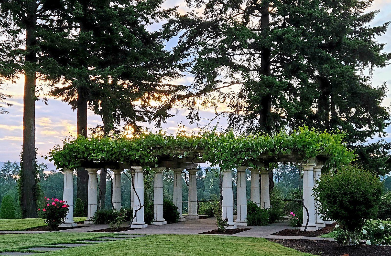 Vine-covered pillared arbor on the lawn