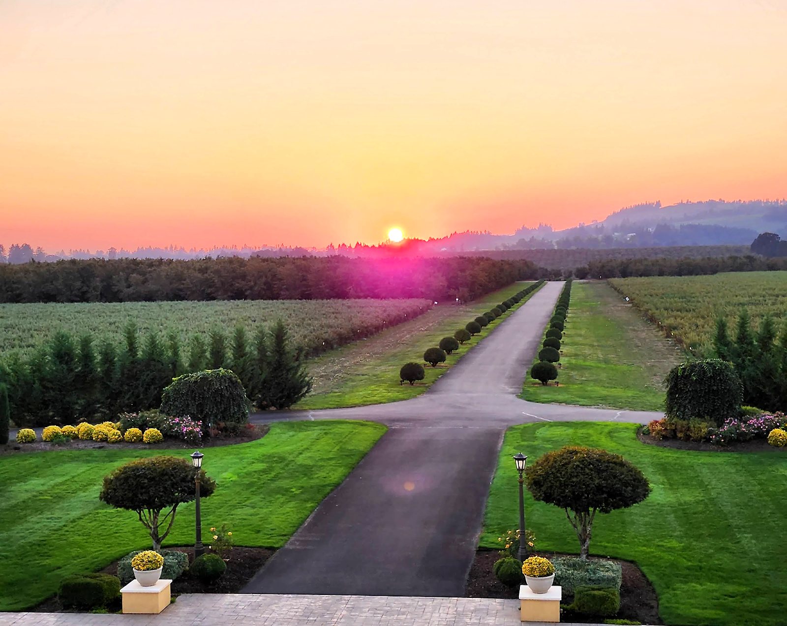 Sunset over the grounds and hedged walkway